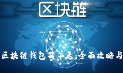 如何通过区块链钱包薅羊毛：全面攻略与最佳实践