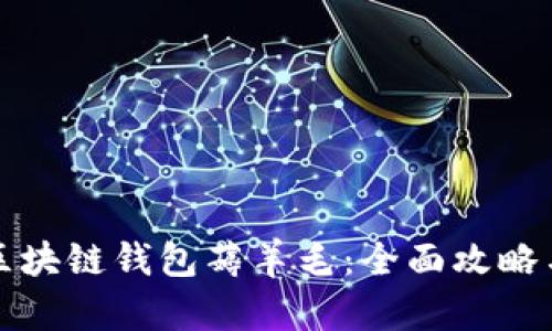 如何通过区块链钱包薅羊毛：全面攻略与最佳实践
