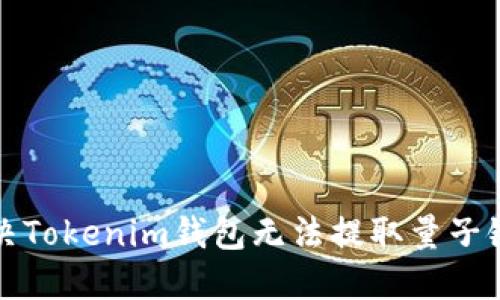 如何解决Tokenim钱包无法提取量子链的问题