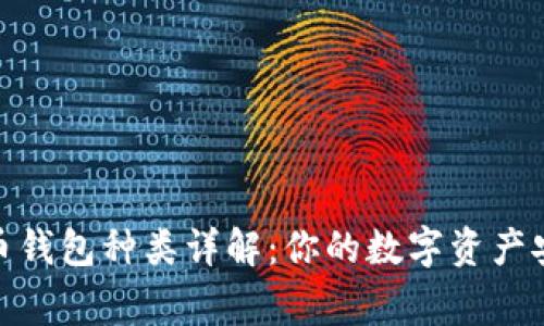 加密货币钱包种类详解：你的数字资产安全管家
