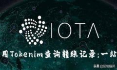 如何使用Tokenim查询转账记录：一站式指导