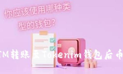 快速解决BTM转账至Tokenim钱包后币消失的问题