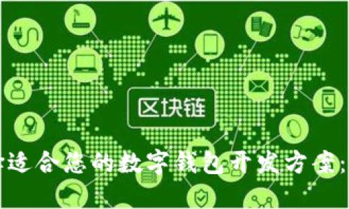 如何选择适合您的数字钱包开发方案：全面指南