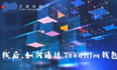 EOS主网上线后，如何通过Tokenim钱包赚取收益？