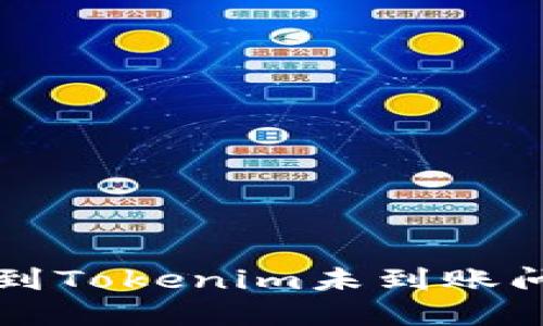 解决币安提现到Tokenim未到账问题的全面指南