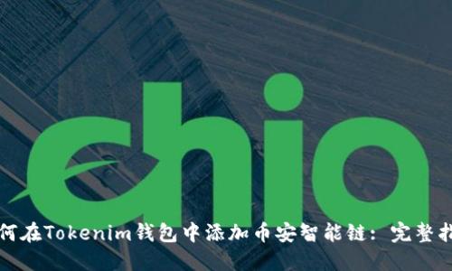 如何在Tokenim钱包中添加币安智能链: 完整指南