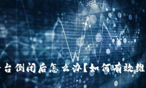 虚拟币平台倒闭后怎么办？如何有效维权与追偿