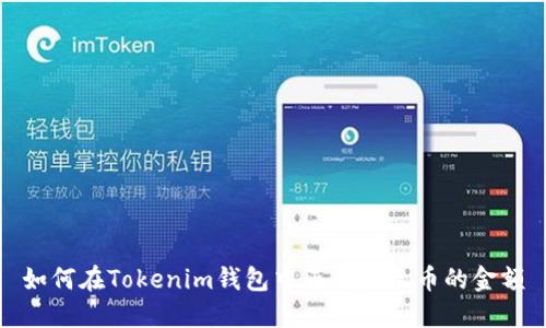 如何在Tokenim钱包中正确显示币的金额