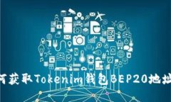 ### 如何获取Tokenim钱包BEP20地址：新手指南