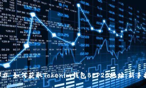 ### 如何获取Tokenim钱包BEP20地址：新手指南