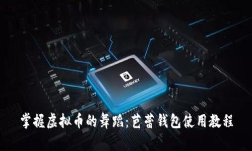 掌握虚拟币的舞蹈：芭蕾钱包使用教程