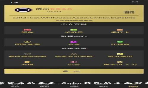 破解数字货币的未来：Cobo钱包的全面分析与应用