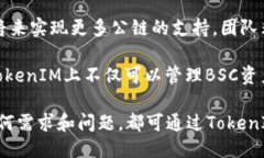 TokenIM支持BSC公链吗？TokenIM是一个专注于区块链技