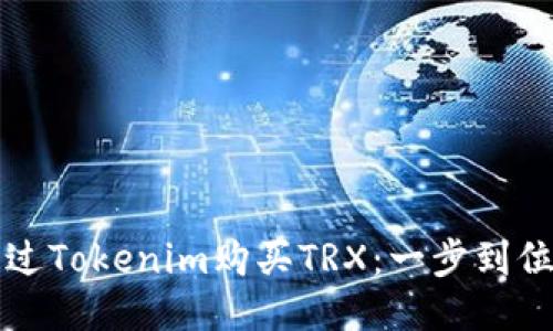 如何通过Tokenim购买TRX：一步到位的指导