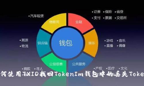 如何使用TXID找回TokenIm钱包中的丢失Token？