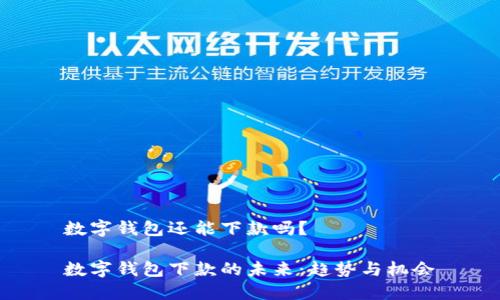 数字钱包还能下款吗？

数字钱包下款的未来：趋势与机会