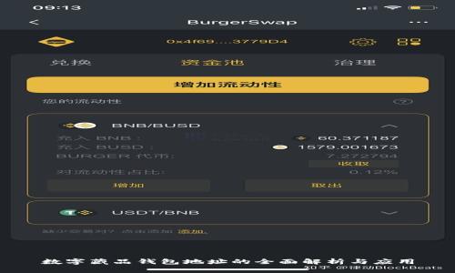 数字藏品钱包地址的全面解析与应用