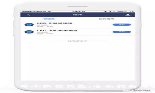 如何高效使用小狐狸钱包：全面指南与实用技巧