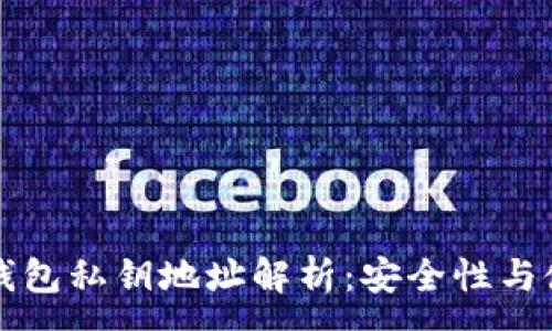 :
区块链钱包私钥地址解析：安全性与使用指南