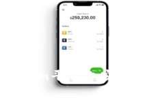 如何在Tokenim平台上安全管理风险代币