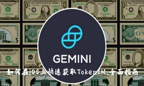 如何在iOS上快速获取TokenIM：全面指南