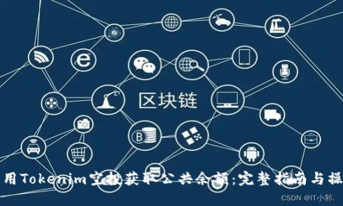 如何利用Tokenim空投获取公共余额：完整指南与操作技巧