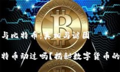 探究中本聪与比特币：真相与谜团中本聪的比特