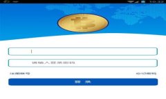 国际数字钱包：未来支付的安全选择？