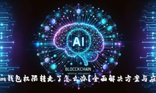 Tokenim钱包权限转走了怎么办？全面解决方案与应对建议