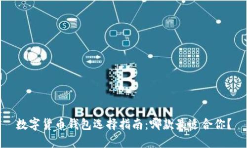 数字货币钱包选择指南：哪款最适合你？