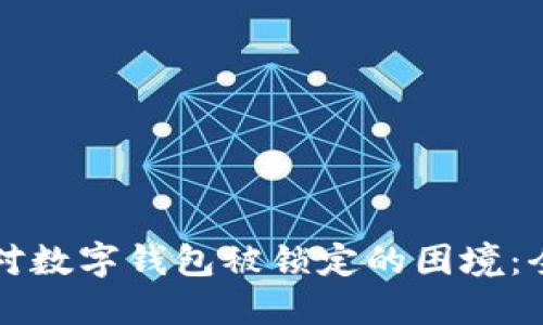 如何应对数字钱包被锁定的困境：全面指南