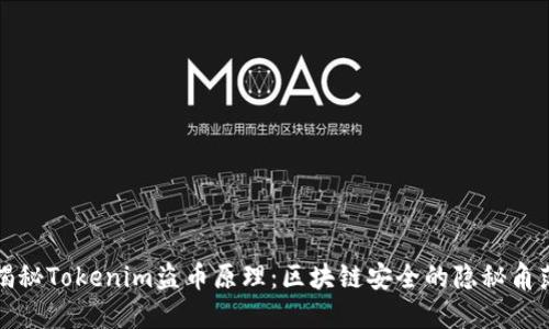 揭秘Tokenim盗币原理：区块链安全的隐秘角落