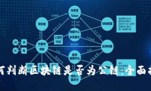 如何判断区块链是否为公链：全面指南