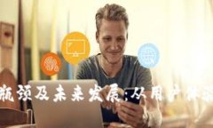 区块链钱包的瓶颈及未来发展：从用户体验到安