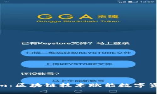 全面解析Tokenim：区块链技术赋能数字资产管理的新视野