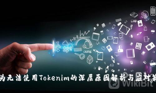华为无法使用Tokenim的深层原因解析与应对策略