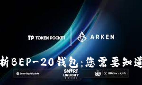 全面解析BEP-20钱包：您需要知道的一切