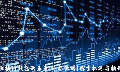 
区块链钱包的未来：还能做吗？探索机遇与挑战