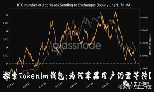 探索Tokenim钱包：为何苹果用户仍需等待？
